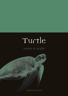 Turtle (Animal) By Louise M. Pryke Cover Image