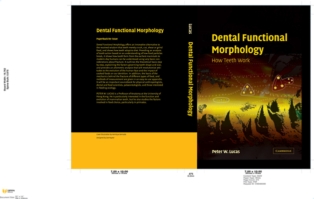 Dental Functional Morphology: How Teeth Work By Peter W. Lucas Cover Image