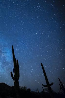 Milky Way with Cactus: The Milky Way Is the Galaxy That Contains Our Solar System. the Name Describes the Appearance from Earth: A Hazy Band Cover Image