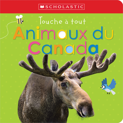Apprendre Avec Scholastic: Touche À Tout: Animaux Du Canada Cover Image