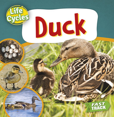 Duck (Life Cycles) Cover Image