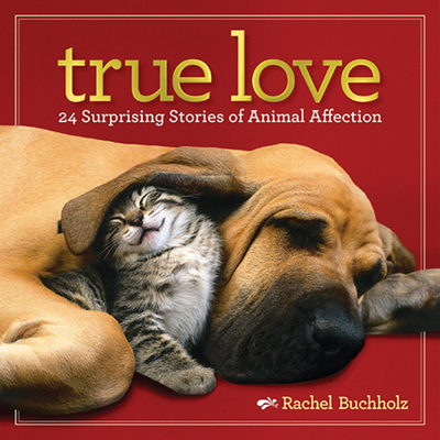 True Love: 24 Surprising Stories of Animal Affection By Rachel Buchholz Cover Image