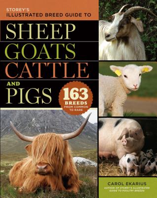 Storey's Illustrated Breed Guide to Sheep, Goats, Cattle and Pigs: 163 Breeds from Common to Rare By Carol Ekarius Cover Image