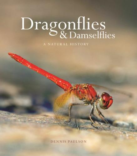 Dragonflies and Damselflies: A Natural History By Dennis Paulson Cover Image