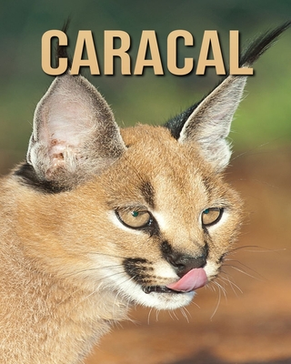 Caracal: Fascinating Caracal for Kids with Stunning Pictures! By Jessica Leonardo Cover Image