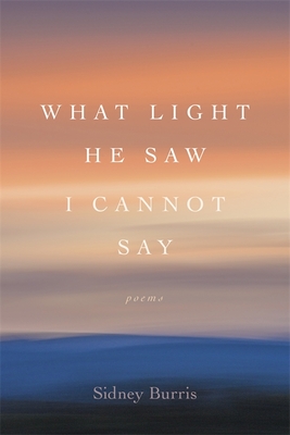What Light He Saw I Cannot Say: Poems (Southern Messenger Poets)