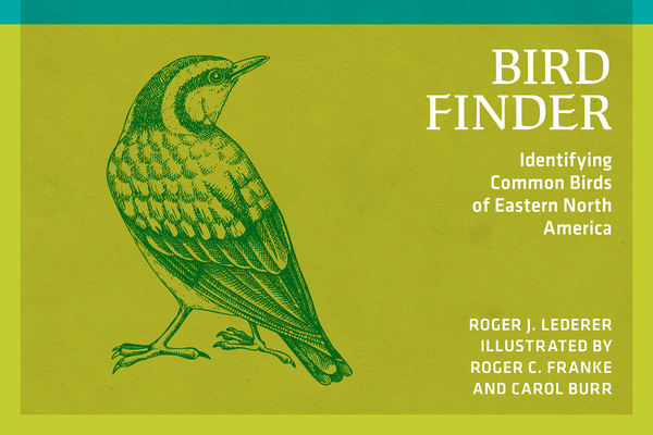 Bird Finder: Identifying Common Birds of Eastern North America (Nature Study Guides)