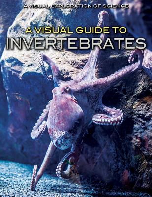 A Visual Guide to Invertebrates (Visual Exploration of Science)