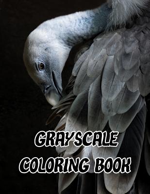 Grayscale Coloring Book: Grayscale Adults Coloring Book Pages for Relaxation and Mediation with Challenge Images Jumbo Size Cover Image