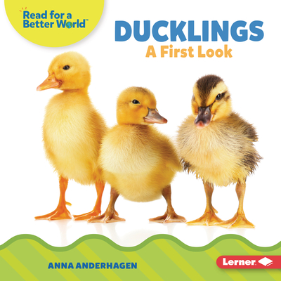Ducklings: A First Look Cover Image
