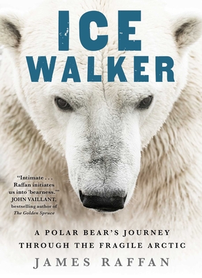 Ice Walker: A Polar Bear's Journey through the Fragile Arctic Cover Image