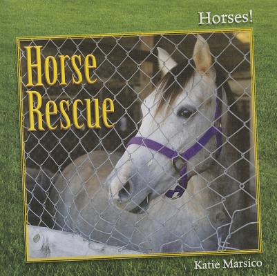Horse Rescue (Horses!) By Katie Marsico Cover Image