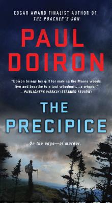 The Precipice: A Novel (Mike Bowditch Mysteries #6) Cover Image