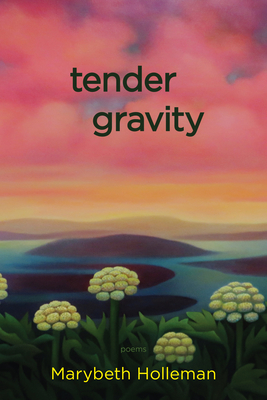 Tender Gravity By Marybeth Holleman Cover Image