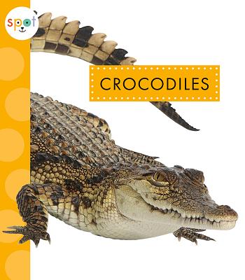 Crocodiles (Spot African Animals)
