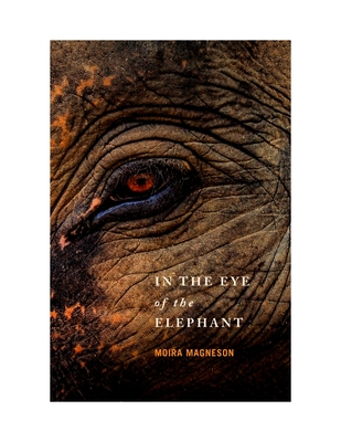 In the Eye of the Elephant By Moira Magneson Cover Image