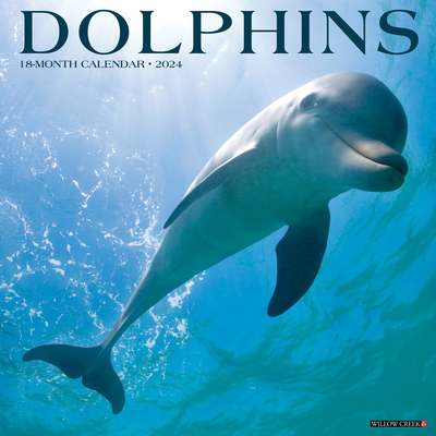 Dolphins 2024 12 X 12 Wall Calendar Cover Image