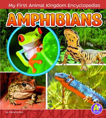 Amphibians (My First Animal Kingdom Encyclopedias)