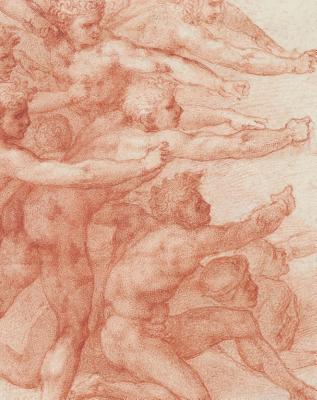 Michelangelo: Divine Draftsman and Designer Cover Image