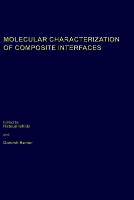 Molecular Characterization of Composite Interfaces (Polymer Science and Technology #27)