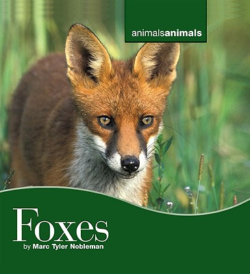 Cover for Foxes (Animals)