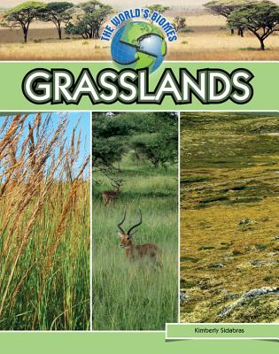 Grasslands By Kimberly Sidabras Cover Image