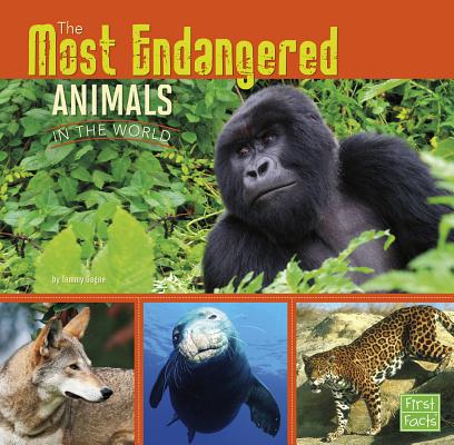 The Most Endangered Animals in the World (All about Animals) (Paperback) |  Hooked