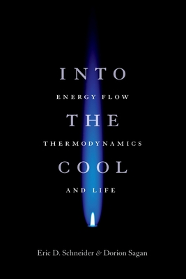 Into the Cool: Energy Flow, Thermodynamics, and Life By Eric D. Schneider, Dorion Sagan Cover Image