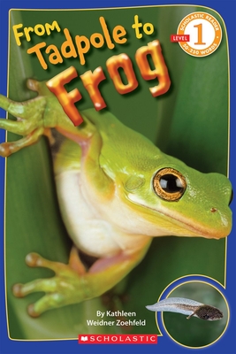 From Tadpole to Frog (Scholastic Reader, Level 1) Cover Image