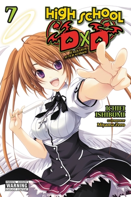 eBooks: HIGH SCHOOL DXD, VOL. 4 (LIGHT NOVEL)