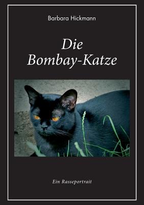 Die Bombay-Katze: Ein Rasseportrait