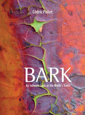 Bark: An Intimate Look at the World's Trees Cover Image