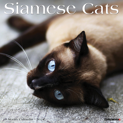 Siamese Cats 2024 12 X 12 Wall Calendar Cover Image