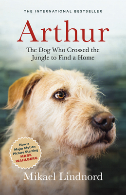 Arthur: The Dog Who Crossed the Jungle to Find a Home By Mikael Lindnord Cover Image