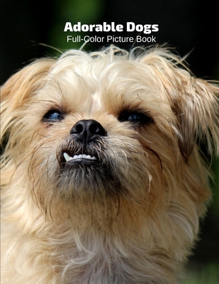 Adorable Dogs Full-Color Picture Book: Dog Picture Book for Children, Seniors and Alzheimer's Patients- Pets Different Breeds