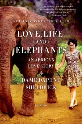 Love Life And Elephants An African Love Story