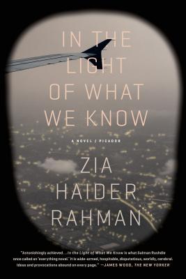 In the Light of What We Know: A Novel Cover Image