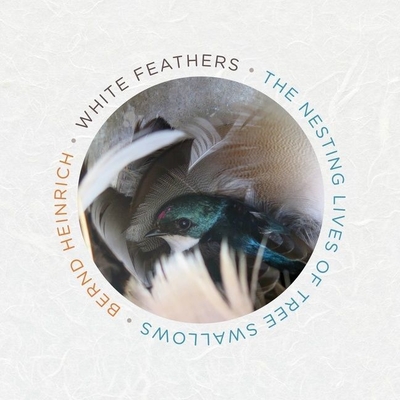 White Feathers: The Nesting Lives of Tree Swallows