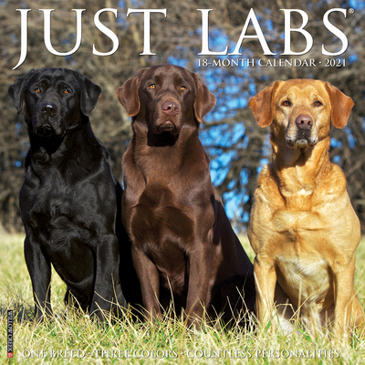 Just Labs 2021 Wall Calendar (Dog Breed Calendar) Cover Image
