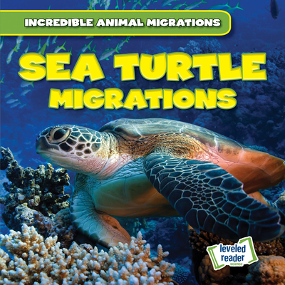 Sea Turtle Migrations By Anna McDougal Cover Image