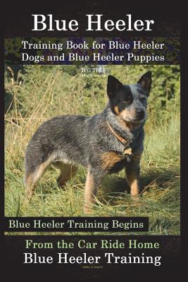 Blue heeler potty training sale