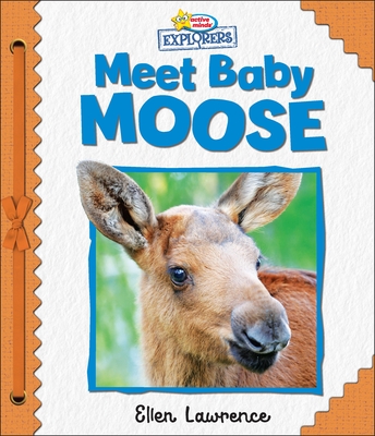 Active Minds Explorers: Meet Baby Moose By Ellen Lawrence, Sequoia Kids Media (Illustrator) Cover Image