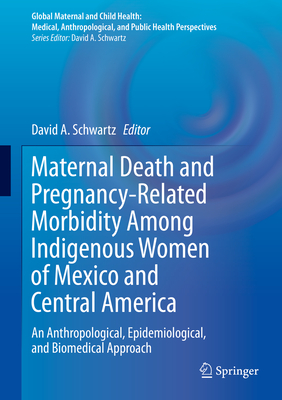 Maternal Death and Pregnancy-Related Morbidity Among Indigenous Women of Mexico and Central America: An Anthropological, Epidemiological, and Biomedic (Global Maternal and Child Health) By David A. Schwartz (Editor) Cover Image