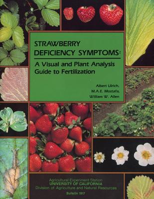 Strawberry Deficiency Symptoms: A Visual and Plant Analysis Guide to Fertilization Cover Image