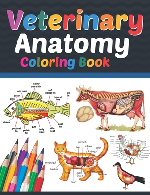 Veterinary Anatomy Coloring Book: Veterinary Anatomy Coloring Book For Medical, High School Students. Anatomy Coloring Book for kids.Veterinary Anatom Cover Image