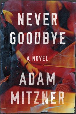 Cover for Never Goodbye