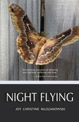 Night Flying Cover Image