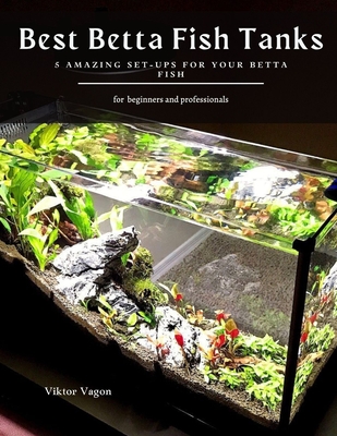 Best Betta Fish Tanks: 5 Amazing Set-Ups for Your Betta Fish