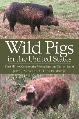 Wild Pigs in the United States: Their History, Comparative Morphology, and Current Status By John J. Mayer, Lehr Brisbin Cover Image