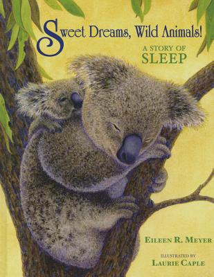 Cover for Sweet Dreams, Wild Animals!